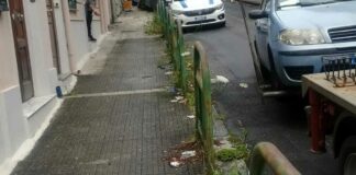 Una donna disperata di Messina, stamane ha chiamato al centralino della locale Polizia Municipale