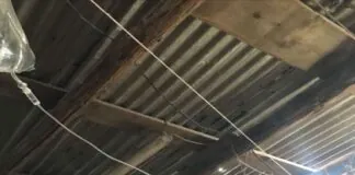 Dopo l’avvio di nuovi controlli effettuati da parte degli agenti della Polizia Municipale di Messina, sono emerse ulteriori attività illecite, in contrada Montesanto (nell’area dove già in passato era possibile assistere sia all’abbandono consistente di rifiuti ma anche poter constatare la presenza di un allevamento abusivo di animali e nella quale sono iniziati i lavori di ripristino del serbatoio dell’Amam)