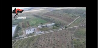 L’operazione “All black”, messa a punto dai carabinieri del Noe di concerto con i finanzieri del Comando provinciale di Taranto, e coordinata dalla Dda di Lecce, è in corso di esecuzione in Puglia, Sicilia, Calabria e Campania