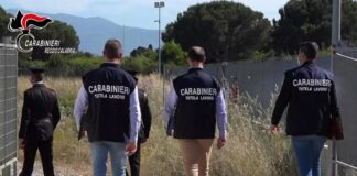 Sarebbero in 177 i migranti che hanno percepito in maniera indebita il reddito di cittadinanza e, per questo, sono stati denunciati dai Carabinieri
