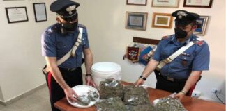 Domenica notte, i Carabinieri della Compagnia di Messina Centro hanno arrestato, in flagranza di reato, due coniugi messinesi, il 52enne A.D., in detenzione domiciliare e la 46enne incensurata, M.M., poiché ritenuti responsabili, in concorso tra di loro, del reato di detenzione illecita di sostanza stupefacente