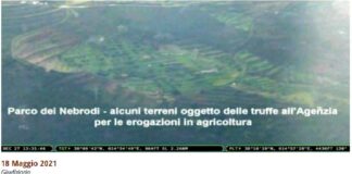 “In tre anni abbiamo accertato che una sola famiglia mafiosa dei Nebrodi ha intascato oltre 2 milioni e 100 mila euro dall’Unione europea, così senza colpo ferire”