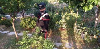 Nel corso della notte, i Carabinieri della Compagnia di Taormina (ME) hanno dato esecuzione ad un’ordinanza di custodia cautelare emessa dal G.I.P. presso il Tribunale di Messina, su richiesta della Procura della Repubblica presso il medesimo Ufficio giudiziario, nei confronti di 3 persone