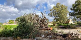Nella mattinata odierna, nei pressi del parcheggio del cimitero di Condera è apparso un nuovo striscione di protesta che porta la firma del comitato “Reggio Respira”: “Pulire non significa uccidere”