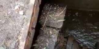 Domattina, a partire dalle ore 11, si lavorerà contemporaneamente a Tremestieri, Letojanni, Taormina e Torrerossa e sarà dunque necessario sospendere la distribuzione sino al completamento delle operazioni