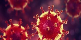 Oggi relativamente al Coronavirus in Calabria, vi sono stati: 2 morti, 271 guariti e 114 nuovi casi positivi