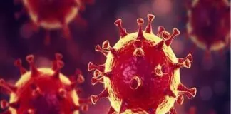 Oggi relativamente al Coronavirus in Calabria, vi sono stati: 2 morti, 271 guariti e 114 nuovi casi positivi