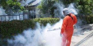 Messinaservizi…, annuncia l’avvio da domani 29 giugno fino all’uno luglio del servizio di disinfestazione di insetti nocivi e zanzare nell’area Centro della città