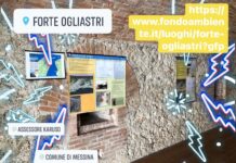 Il 5 e 6 Giugno vi aspettiamo: “Tornano le #giornatefaidiprimavera 29 Ed”