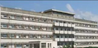 L’Assessorato Regionale alla Salute ha autorizzato l’UO di Gastroenterologia Pediatrica e Fibrosi Cistica del Policlinico Universitario di Messina per il trattamento con teduglutide nella sindrome dell’intestino corto nel paziente in età pediatrica