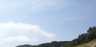 Nei giorni scorsi, il personale medico dell’Ospedale Civile “Santa Maria degli Ungheresi” di Polistena ha richiesto al locale Commissariato di P.S. l’intervento della Polizia di Stato per effettuare il trasporto di un farmaco salvavita necessario ad una piccola paziente morsa da una vipera