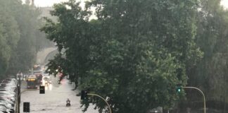 E’ stata oggi Laura Corrotti (la consigliera regionale del Lazio facente parte della Lega), a scrivere questo sul proprio profilo Facebook