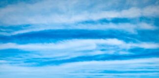 Sono questi…, i servizi di controllo del territorio e Piano d’azione nazionale e transnazionale Focus ‘ndrangheta