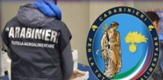 I Reparti Tutela Agroalimentare (RAC) hanno ispezionato oltre 60 attività del comparto agroalimentare sull’intero territorio nazionale al fine di salvaguardare il settore produttivo