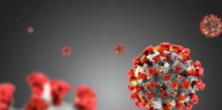 Questi sono i dati giornalieri relativi all’epidemia da Covid-19 comunicati dai Dipartimenti di Prevenzione delle AA.SS.PP. della Regione Calabria