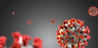 Questi sono i dati giornalieri relativi all’epidemia da Covid-19 comunicati dai Dipartimenti di Prevenzione delle AA.SS.PP. della Regione Calabria