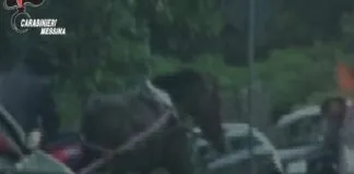 Nella giornata odierna, nel corso di mirati servizi finalizzati al contrasto delle corse di cavalli su viale Giostra, dove si organizzano le corse clandestine, i Carabinieri del Nucleo Radiomobile di Messina hanno deferito, in stato di libertà, tre messinesi