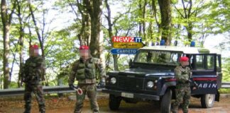 I carabinieri, nell’ambito di servizi finalizzati alla repressione dei reati in materia di stupefacenti, coadiuvati dai militari Squadrone Eliportato Cacciatori di Calabria, hanno scoperto a Grotteria una coltivazione di canapa indiana costituita da circa 740 piante di specie “nana”, di altezza compresa tra i 40 e gli 80 centimetri