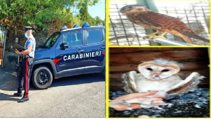 Carabinieri Santa Maria di Licodia