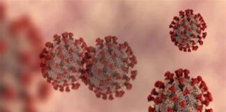 Coronavirus…, nella data di oggi 3 luglio 2021 in Sicilia è questa la situazione: nessun morto, 184 guariti e 134 nuovi casi positivi