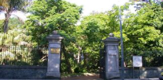 Dalle 16.30 alle 20.30 di mercoledì 28 luglio, presso l’Orto Botanico di Messina, sarà possibile effettuare, senza prenotazione, la vaccinazione anti covid 19 per tutti coloro che volessero aderire