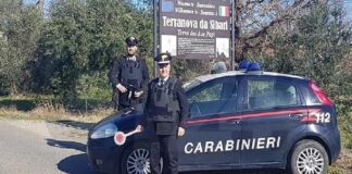 Questa mattina i Carabinieri della Stazione di Terranova da Sibari, con il supporto dei colleghi delle Compagnie Carabinieri di San Marco Argentano, Corigliano Calabro e Castrovillari, e l’ausilio dell’unità cinofila dello Squadrone Eliportato Cacciatori di Calabria, hanno eseguito delle ordinanze di misure cautelari emesse dal G.i.p. del Tribunale di Castrovillari nei confronti di 7 persone