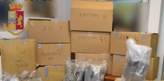 Nel corso di uno specifico servizio per la prevenzione e la repressione dei reati concernenti il traffico delle sostanze stupefacenti, gli agenti della Polizia di Stato della 7^ Sezione della Squadra Mobile, e della Squadra Investigativa del commissariato di Tivoli, hanno individuato ed arrestato M. F.