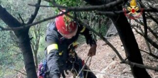 I vigili del Fuoco…, intorno alle ore 14.15 di oggi hanno tratto in salvo un uomo precipitato in un burrone di 150 metri situato in località Croce Valanidi a Reggio Calabria