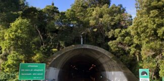 Da lunedì andranno sotto l’esame strutturale dei georadar le gallerie dell’autostrada A20 Villafranca, Granciara, S.Antonio, Tracoccia, Sciamina, Saia Archi, Castello ed Oliveri