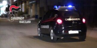 Un 37enne polacco, K. P. S., è stato arrestato nella provincia del Limburgo, nei Paesi Bassi, dalla polizia olandese