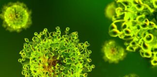 Fino ad oggi…, il totale dei tamponi eseguiti e’ stato di 971420