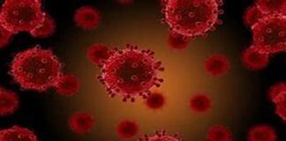 Covid-19: oggi giovedì 8 luglio 2021…, in Calabria si sono sottoposti al tampone 947651 soggetti