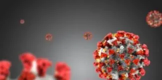 Territorialmente, dall’inizio dell’epidemia, i casi positivi sono così distribuiti