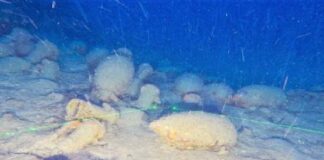 Un relitto romano del II secolo a.C., giacente a 92 metri di profondità nelle acque antistanti a Isola delle Femmine, in provincia di Palermo, è stato individuato nelle scorse ore durante una ricognizione effettuata dal personale della Soprintendenza del Mare della Regione Siciliana