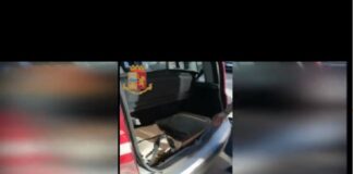 Proseguono senza soluzione di continuità i servizi di controllo del territorio da parte della Questura di Roma dedicati alla prevenzione e repressione dello spaccio di sostanze stupefacenti nel territorio della Città Capoluogo ed in provincia