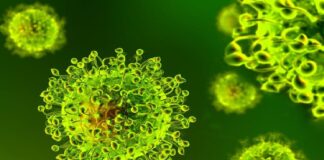 Questi sono i dati giornalieri relativi all’epidemia…, da Coronavirus