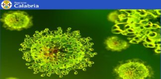 I dati sul Coronavirus: il totale di tamponi eseguiti fino ad ora…, è stato di 1.045.875