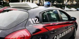 I carabinieri di Bologna e la polizia spagnola hanno arrestato a Madrid il latitante di ‘ndrangheta Domenico Paviglianiti, 60 anni