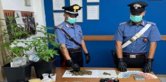 Nella serata di sabato scorso, nell’ambito di servizi finalizzati al contrasto del traffico di sostanze stupefacenti, i Carabinieri della Stazione di Gioiosa Marea hanno denunciato, in stato di libertà, all’Autorità Giudiziaria della Procura della Repubblica presso il Tribunale di Patti, diretta dal dott. Angelo Vittorio Cavallo, un 32enne