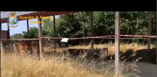 I Finanzieri del Comando Provinciale di Messina, all’esito di articolate indagini dirette dalla Procura della Repubblica di Barcellona Pozzo di Gotto (ME), nella persona del Procuratore Capo dr. Emanuele Crescenti, hanno scoperto una strutturata frode ai danni del bilancio dell’Unione Europea e della Regione Siciliana, dando esecuzione ad una misura cautelare personale, nonché al sequestro del profitto illecito pari a 180 mila euro, nonché di un impianto fotovoltaico, del valore oltre 230 mila euro