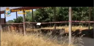 I Finanzieri del Comando Provinciale di Messina, all’esito di articolate indagini dirette dalla Procura della Repubblica di Barcellona Pozzo di Gotto (ME), nella persona del Procuratore Capo dr. Emanuele Crescenti, hanno scoperto una strutturata frode ai danni del bilancio dell’Unione Europea e della Regione Siciliana, dando esecuzione ad una misura cautelare personale, nonché al sequestro del profitto illecito pari a 180 mila euro, nonché di un impianto fotovoltaico, del valore oltre 230 mila euro
