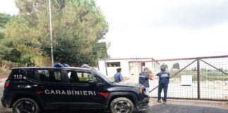 Lunedì scorso, i Carabinieri della Compagnia di Barcellona Pozzo di Gotto e del Nucleo Operativo Ecologico di Catania hanno effettuato dei controlli sul rispetto della normativa di tutela ambientale presso il sito adibito ad Isola Ecologica nel Comune di Rodì Milici