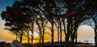 Al via venerdì 13 alle 18.45 alla tenuta Capo Rasocolmo “Promontorio Nord”, la rassegna teatrale, con la direzione artistica di Roberto Zorn Bonaventura, legata al Capo Rasocolmo Summer Fest 2021