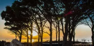 Al via venerdì 13 alle 18.45 alla tenuta Capo Rasocolmo “Promontorio Nord”, la rassegna teatrale, con la direzione artistica di Roberto Zorn Bonaventura, legata al Capo Rasocolmo Summer Fest 2021