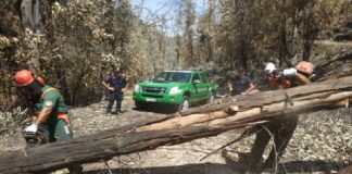 Sono arrivati ieri in Sicilia 25 carabinieri forestali provenienti da altre parti d’Italia, venuti a dare man forte agli altri militari dell’Arma, al personale del Corpo forestale regionale e della Protezione civile