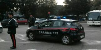 I Carabinieri di Roma-Casalbertone hanno avviato una serie di controlli congiunti con i militari della Stazione Forestale di Roma e con il personale specializzato dei Carabinieri del Nucleo Ispettorato del Lavoro