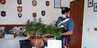 Nei giorni scorsi, i Carabinieri della Stazione di Mongiuffi Melia con il supporto dei militari dello Squadrone Carabinieri Eliportato “Cacciatori di Sicilia”, hanno arrestato, in flagranza di reato, il 32enne G.A.