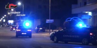 A San Pietro di Caridà, nei giorni scorsi, i Carabinieri della Compagnia di Gioia Tauro, dello Squadrone Eliportato Cacciatori “Calabria” e dell’8° Nucleo Elicotteri di Vibo Valentia, hanno rinvenuto, in località Prateria, contrada Melocutugno, una piantagione composta da circa 130 piante di marijuana