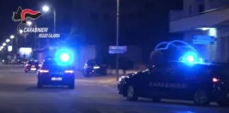 A San Pietro di Caridà, nei giorni scorsi, i Carabinieri della Compagnia di Gioia Tauro, dello Squadrone Eliportato Cacciatori “Calabria” e dell’8° Nucleo Elicotteri di Vibo Valentia, hanno rinvenuto, in località Prateria, contrada Melocutugno, una piantagione composta da circa 130 piante di marijuana