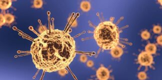 In data 22 agosto 2021, è stata rilevata tale situazione relativa al Coronavirus in Sicilia: vi sono stati 1.350 nuovi casi positivi e 6 morti